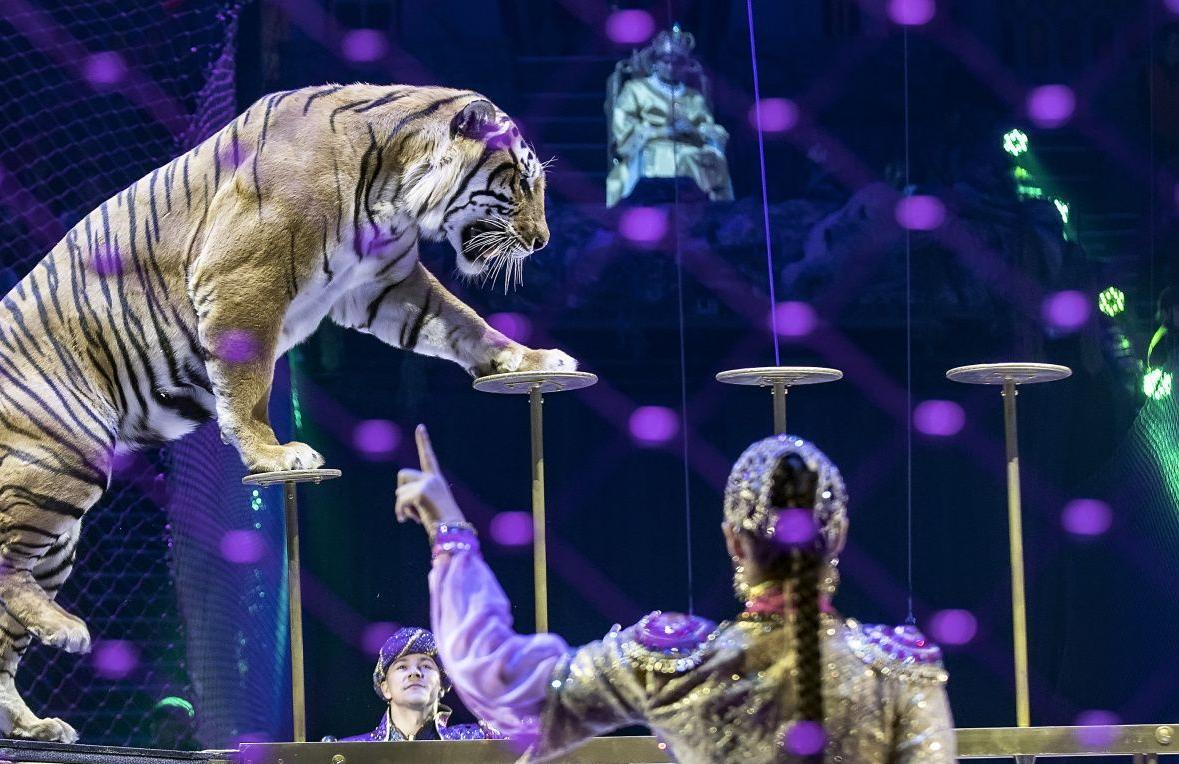 В канун Нового года КСК «Арена» превратится в Морское царство!