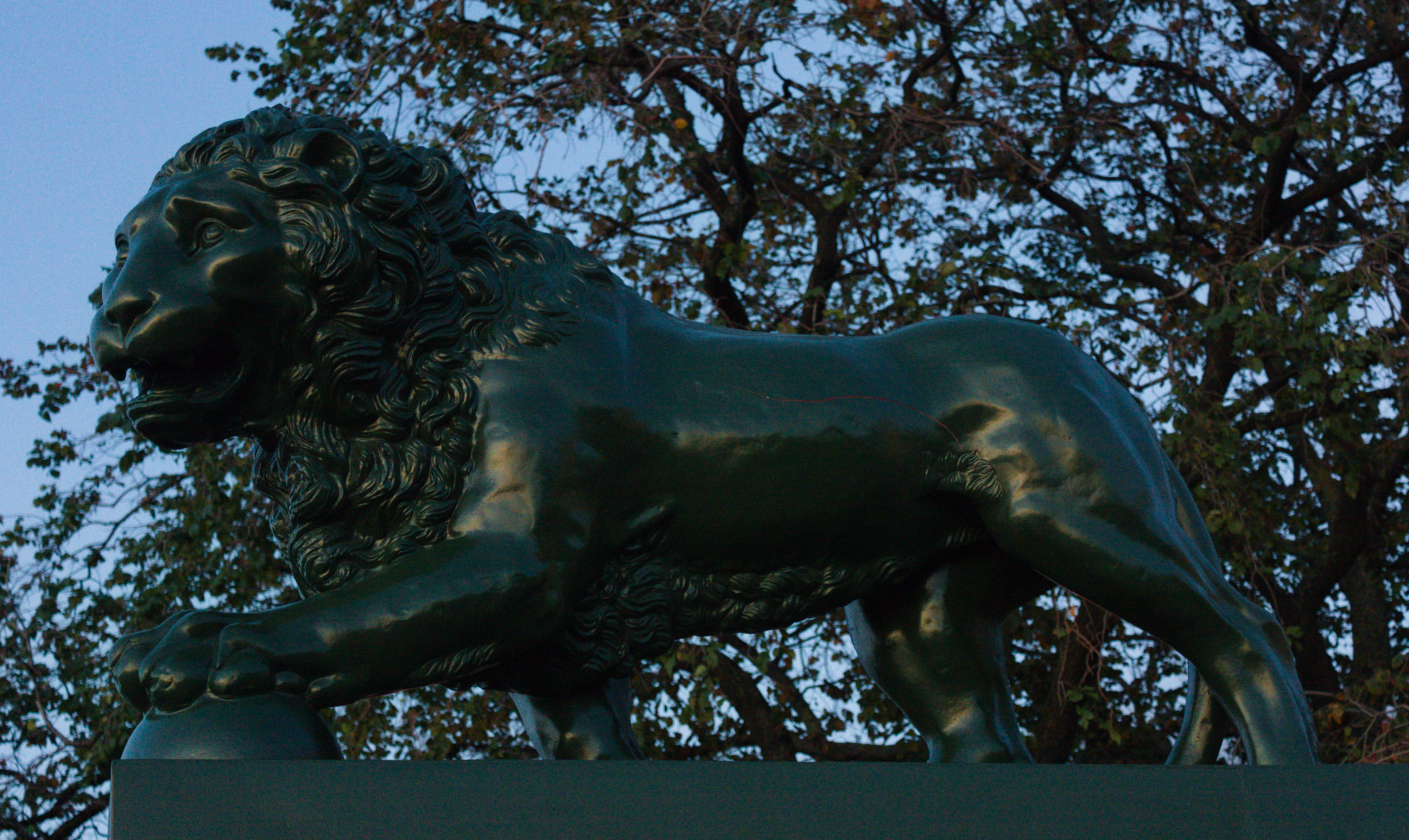 Сторожевые львы на Адмиралтейской набережной