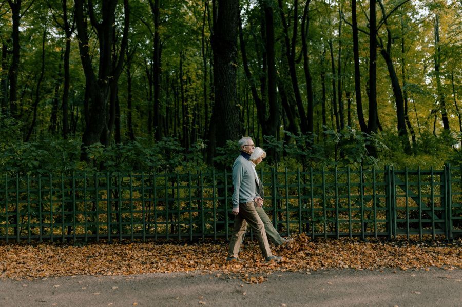 Петербург Петра Великого