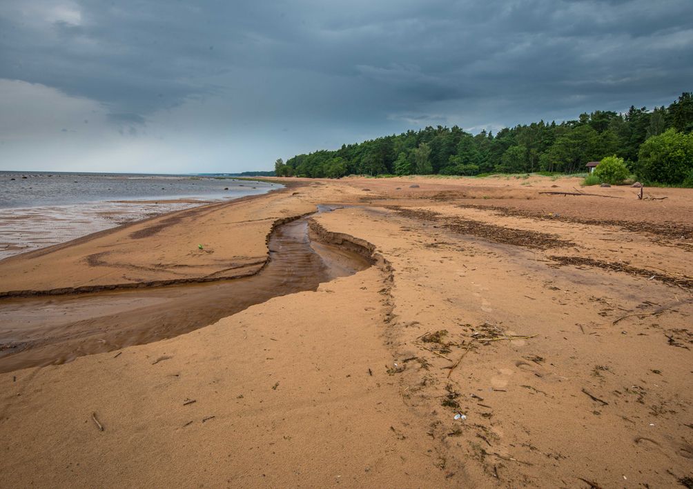 Пляжи Петербурга