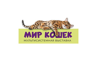 Выставка  «Мир кошек»