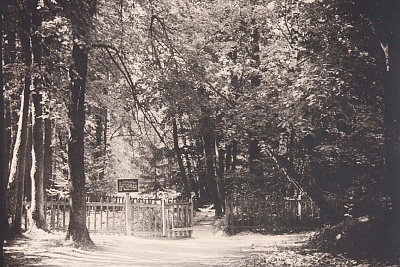 Выставка «Фотография как искусство: русский пикториализм»